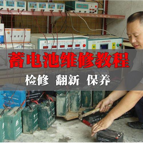 电瓶修复技术视频教程(电瓶修复技术视频教程下载)