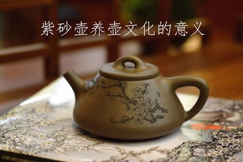 成知识体系紫砂养壶知识(紫砂 养壶)