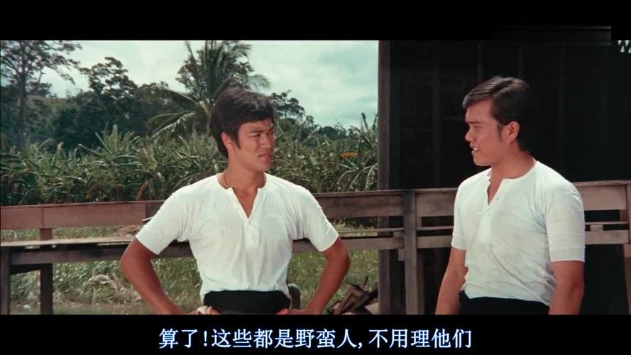 唐山大兄的演员表k先生演员表(唐山大兄的主演是谁)