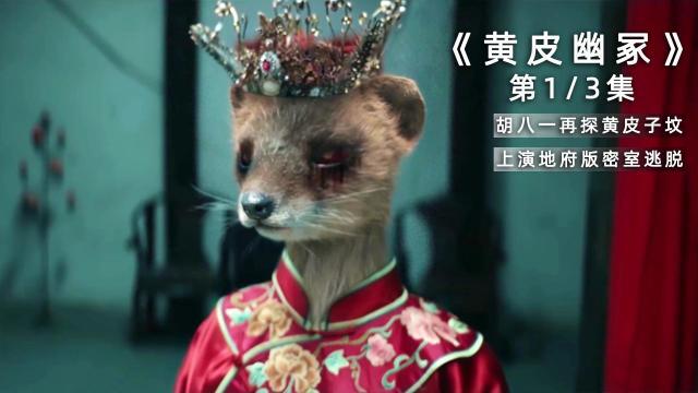 关于黄皮子墓演员表x奥特曼演员表的信息