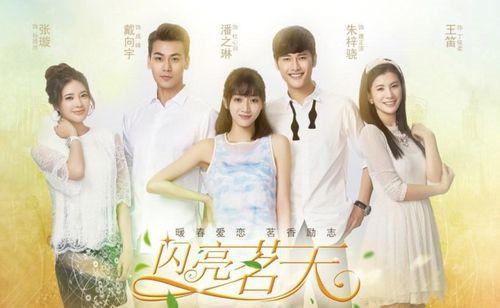 闪亮爱电视剧演员表大时代小演员表(闪亮爱 大结局)