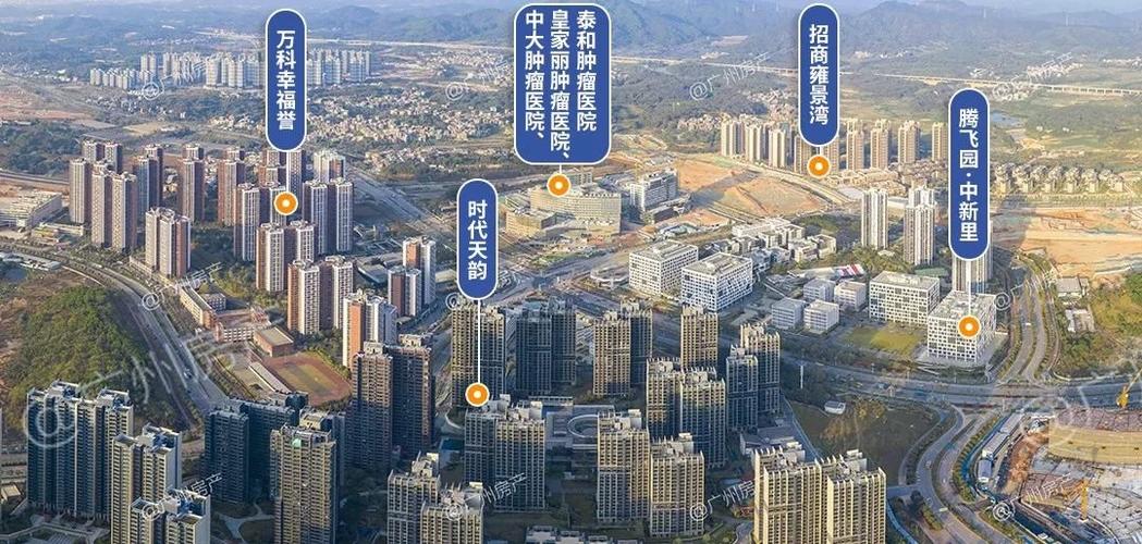 知识城缤纷城画家科普知识(知识城鸟瞰图)