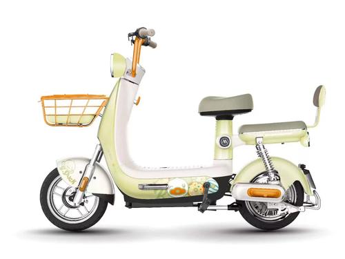 2023口碑最好的电动车(2023建议买的电动车)