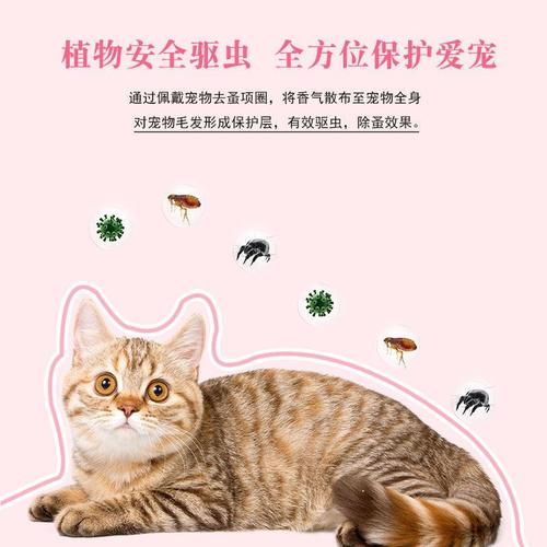 肽科普知识猫虱的知识(猫虱怎么处理)