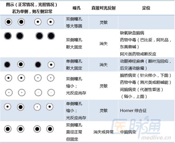 瞳孔值数据数据特殊值(瞳孔标准)