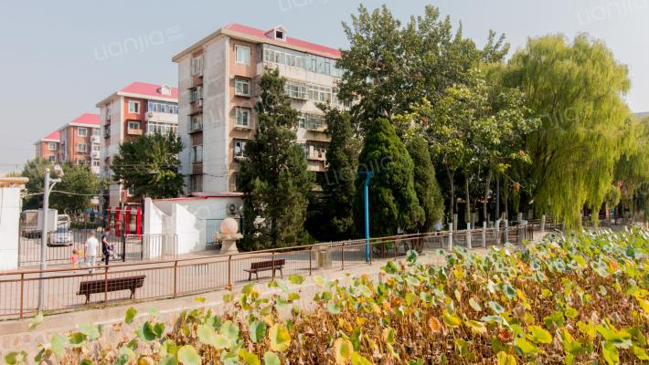 迎风六里二区房价东泉小区房价(迎风六里居委会电话)