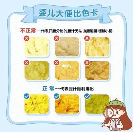 小知识周记宝宝排便知识(宝宝排便资讯)
