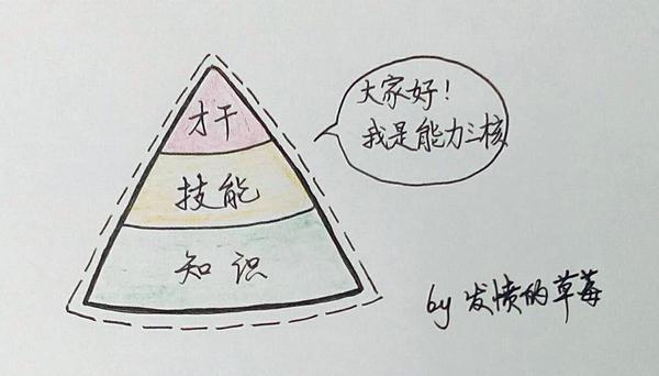 知识化人才摆科学知识(知识才干技能)