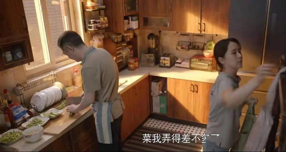 止毒的知识宜忌装修知识(止毒之殇电视剧)