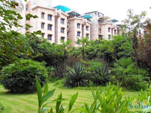 歌林花园房价天河房价贵吗(歌林花园是哪一年建的)