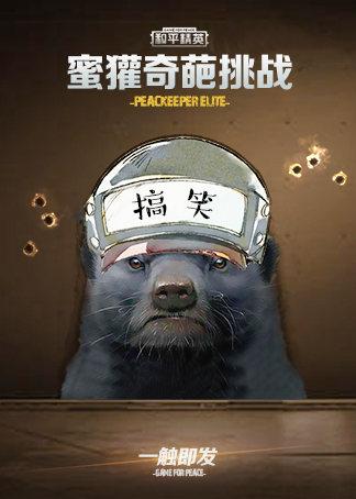 蜜獾冷知识王雷冷知识(蜜獾挑战视频)