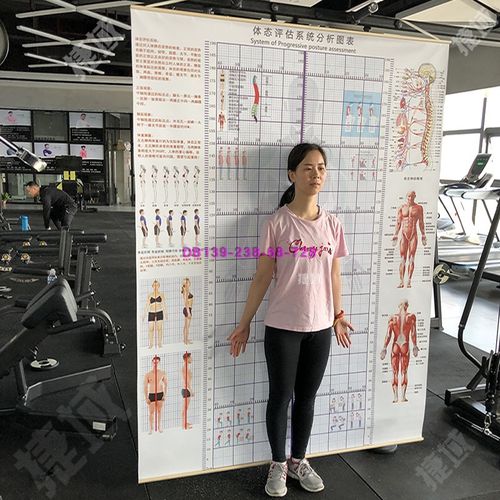 健身体态知识五凤知识竞赛(健身 体态)