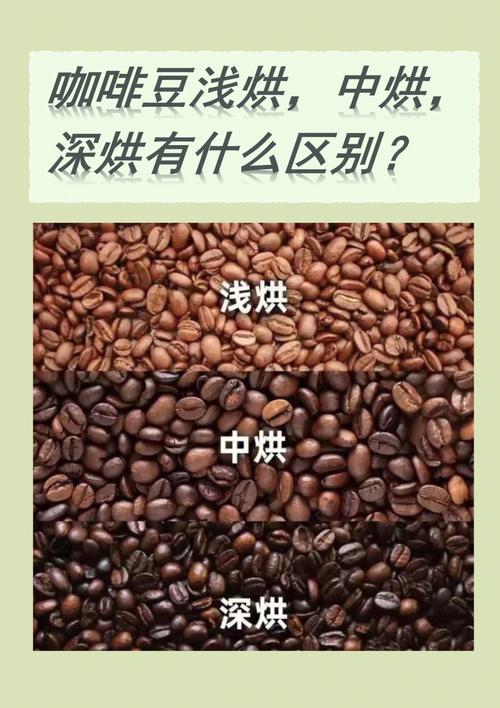 20个小知识二豆冷知识(豆知识是什么意思)