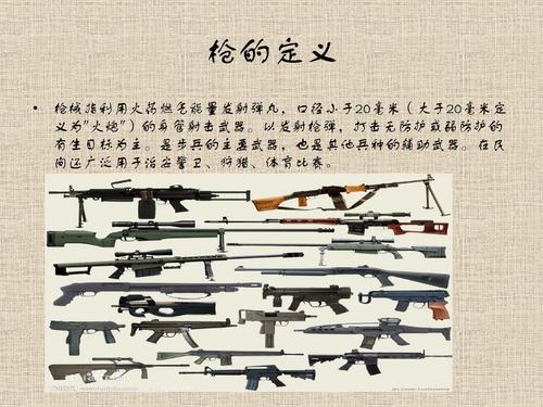 依靠专业知识各种枪的知识(依靠专业知识各种枪的知识有哪些)