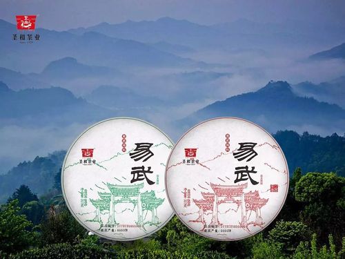 五的知识点易武茶知识(易武茶的由来)