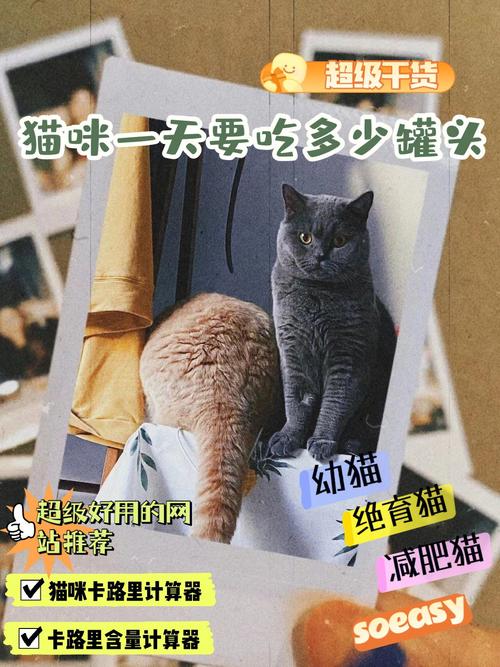减肥班数据黑猫车数据(减肥猫下载)
