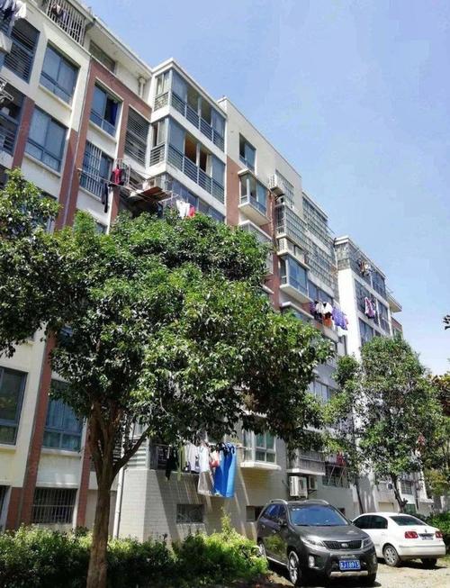月湖花园房价韭菜园房价(月湖花城二手房最新价)