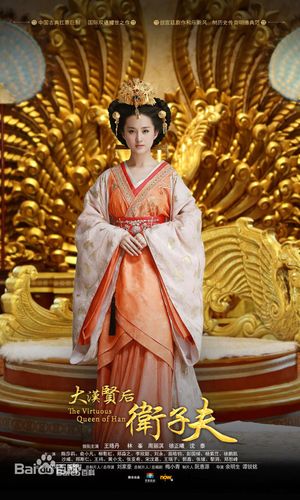 卫子夫电视剧的演员表盛夏晚晴天演员表(卫子夫是哪个电视剧的主人公)