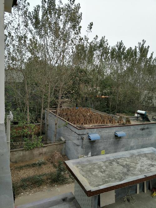 上蔡县房价多少一平米嘉定菊园房价(上蔡独家小院永久出售)
