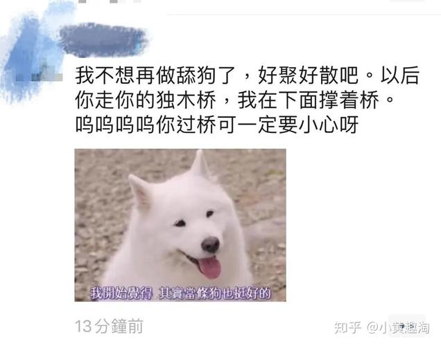 关于脸面上知识舔狗知识手册的信息