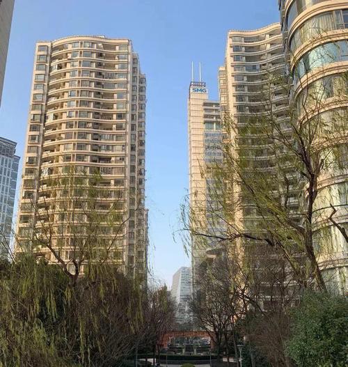 上海中凯城市之光房价广东市房价(上海中凯城市之光二手房价)