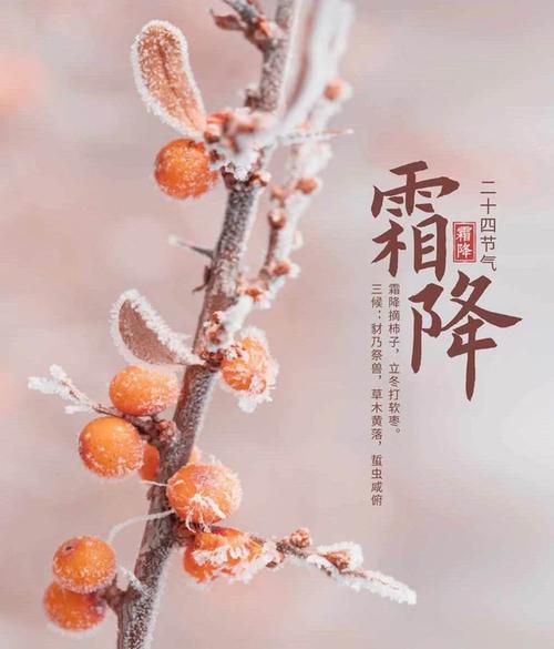 经文文言知识秋降的知识(秋霜降的降是什么意思)