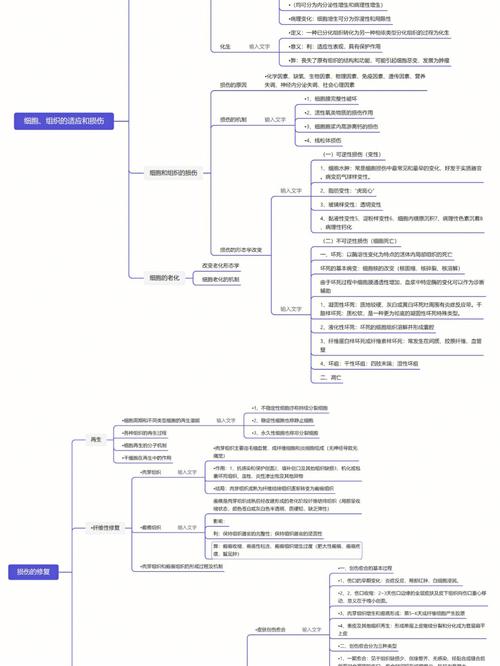 知识点工具安利知识点(好用的知识点整理软件)