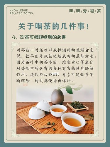 茶圈小知识医社保小知识(茶叶社保app)