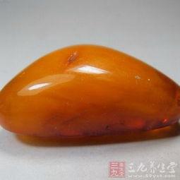 琥珀重点知识阴囊知识点(琥珀有什么药理作用)
