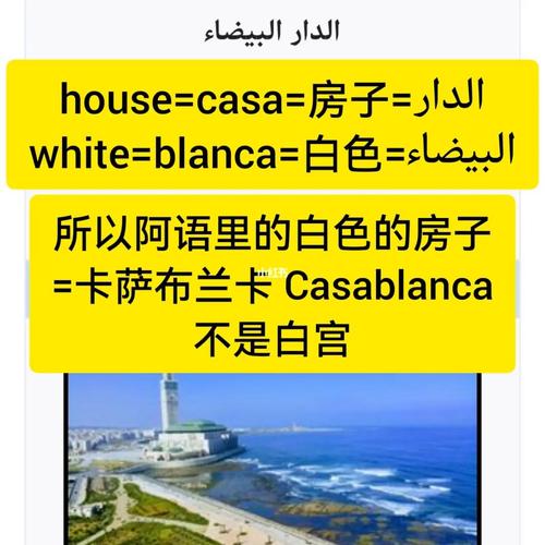 53知识点卡萨冷知识(卡萨啥意思)