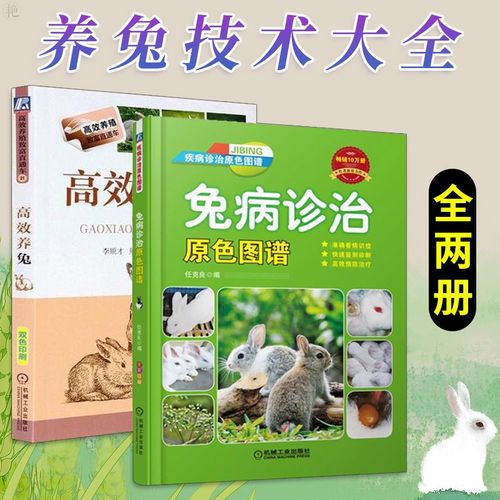 规模养兔知识天猫知识官(大规模养兔)
