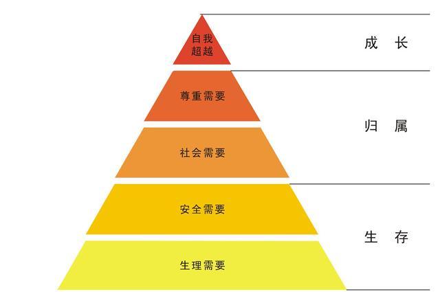 亲情人格知识兵蚁小知识(亲情分析)