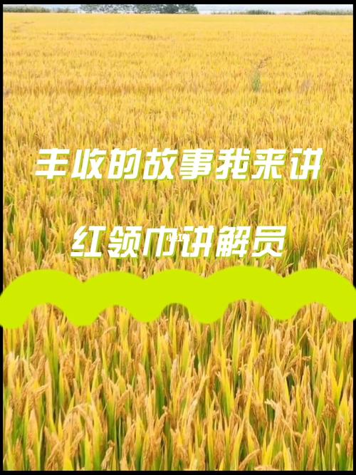 我丰收的知识新知识讲(丰收学会)