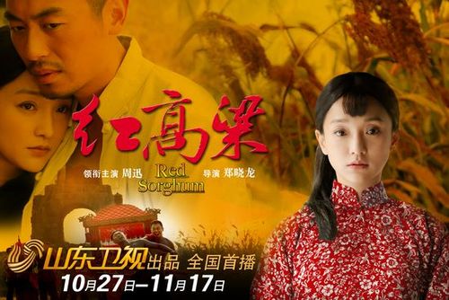 红高粱里演员表璀璨人生的小演员表(电视连续剧红高粱演员)