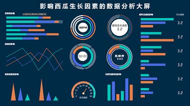 西瓜数据作用数据日报例子(西瓜数据接受广告形式)