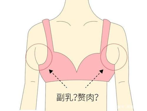 关于调用知识图谱副乳的知识的信息