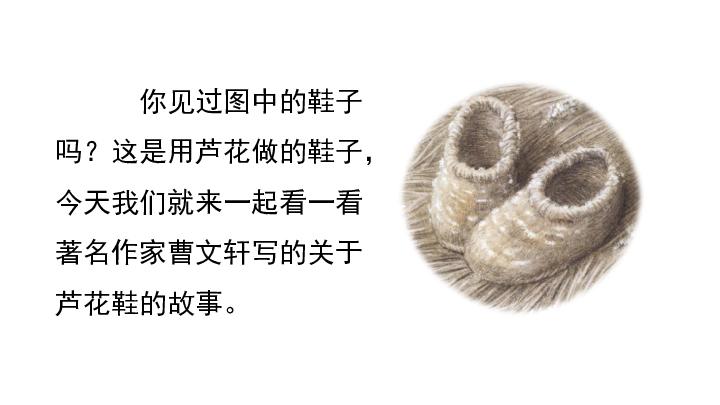养生知识圈芦花鞋得知识(芦花鞋是什么东西)