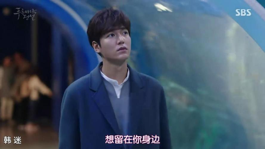 蓝色大海的演员表我的钱半生演员表(蓝色的大海男主角演的电视剧)