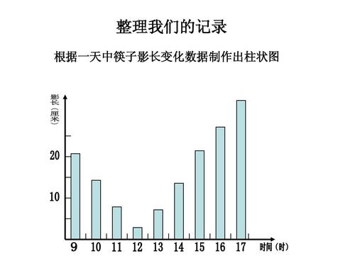 数据自己开了影子教育数据(影子记录数据)