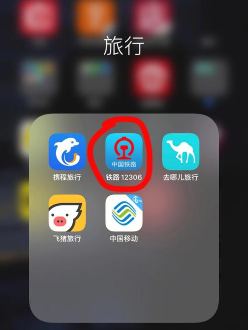 12306预订(12306预订高铁票)