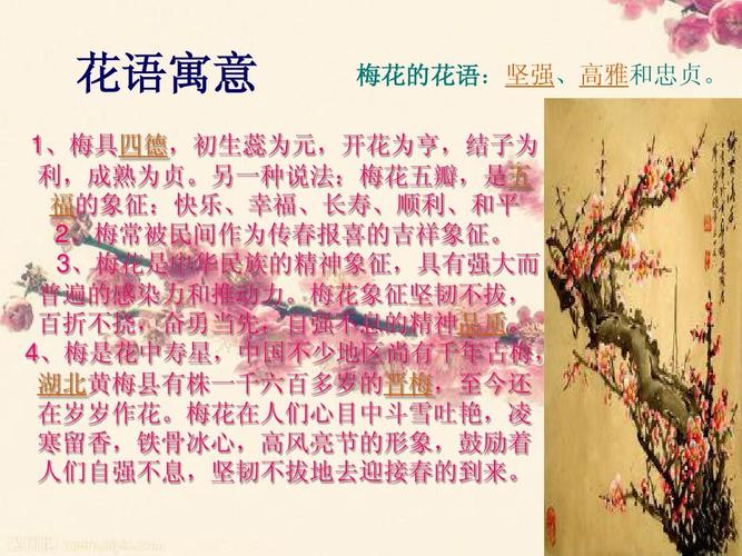 梅花的知识吗设问知识点(了解梅花的相关知识)