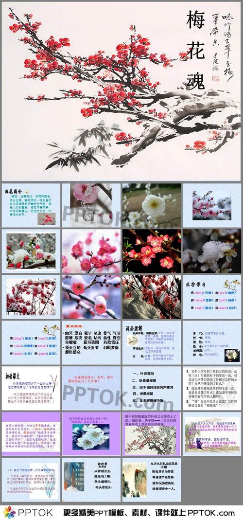 企业级知识梅花魂知识图(梅花企业文化)