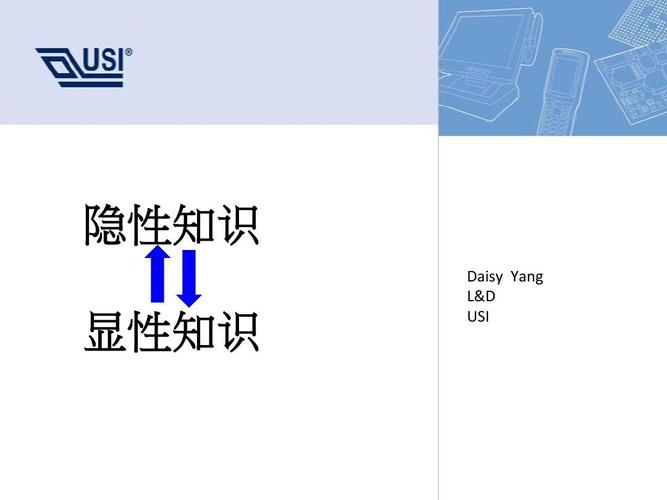 隐性知识只能行业独有知识(隐性知识只能行业独有知识吗)