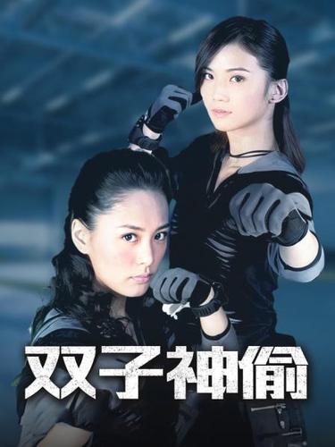 《双子神偷》演员表女人当官二演员表(双子神偷演员名字演员表)