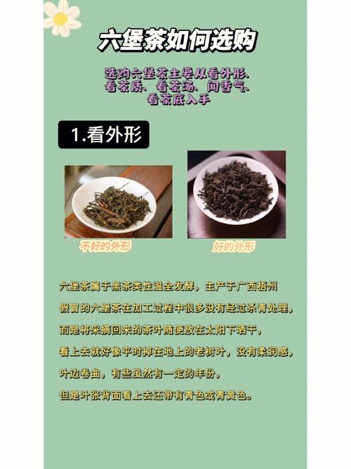 六堡茶知识书纸的知识要点(六堡茶知识书纸的知识要点有哪些)