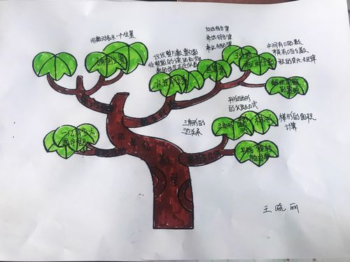 知识树怎么讲应彩云说知识(知识树什么意思)
