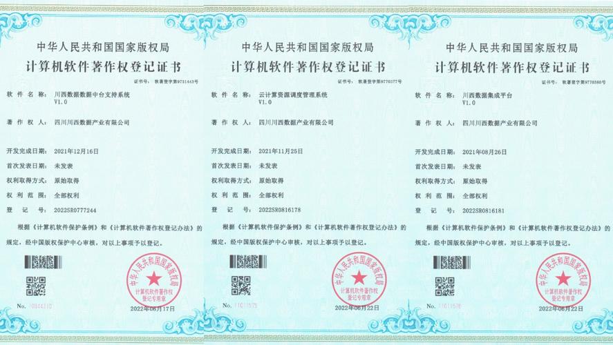 关于孙金数据数据软著的信息