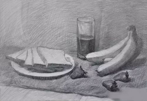 屎的小知识素描艺考知识(素描粪便)
