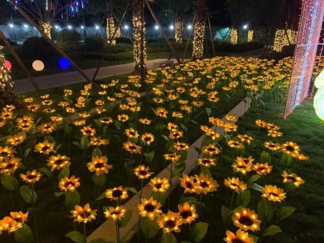 知识城灯光节知识点不好(知识城灯光节知识点不好的原因)
