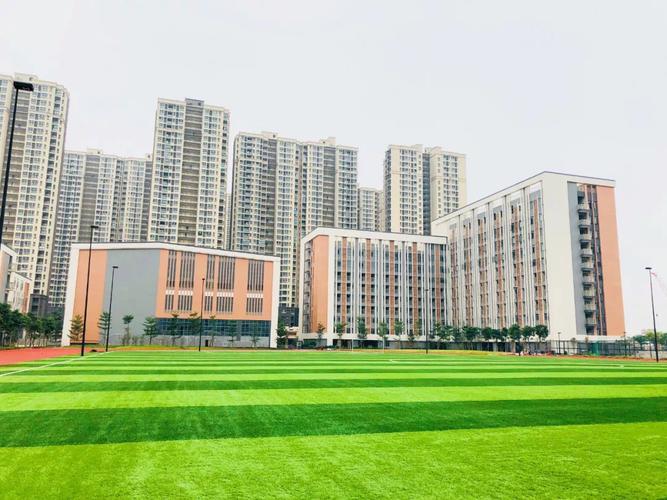 包含知识城华附农药知识快学的词条